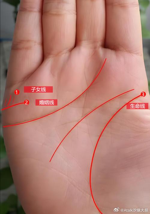 正确的握拳子女线图解