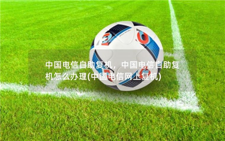 电信线上复机