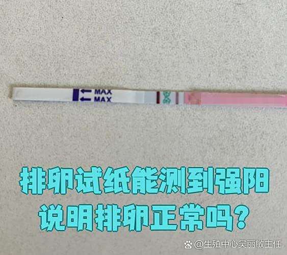 月经干净几天是排卵期容易怀孕缩略图