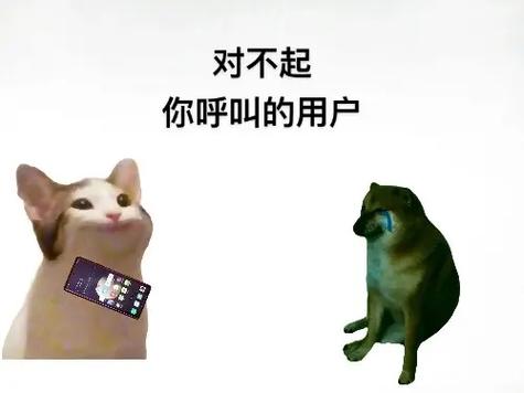 您拨打的用户已启用天翼缩略图