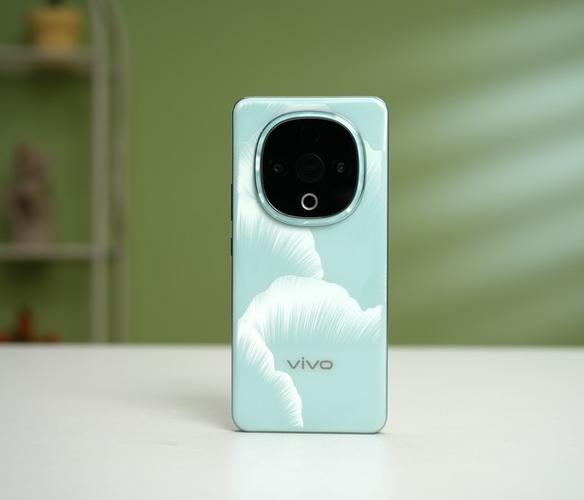 vivo色彩用标准还是鲜艳缩略图