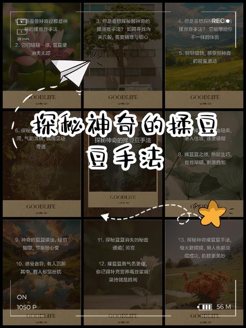 拼豆豆玩法缩略图