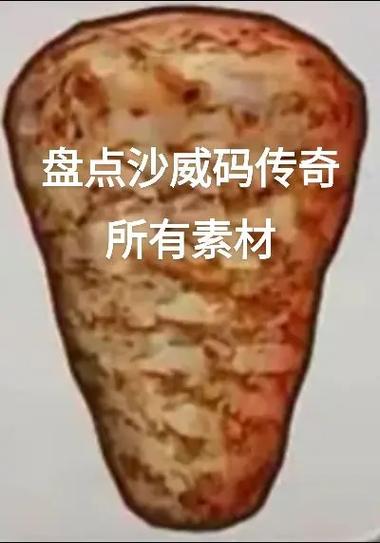 沙维码破解版传奇