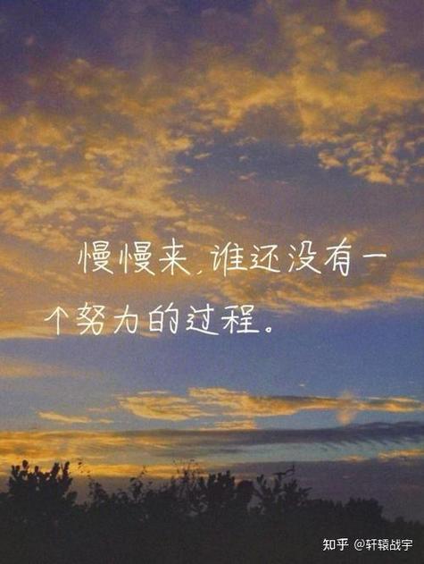 音乐无国界唯美句子摘抄游戏截图
