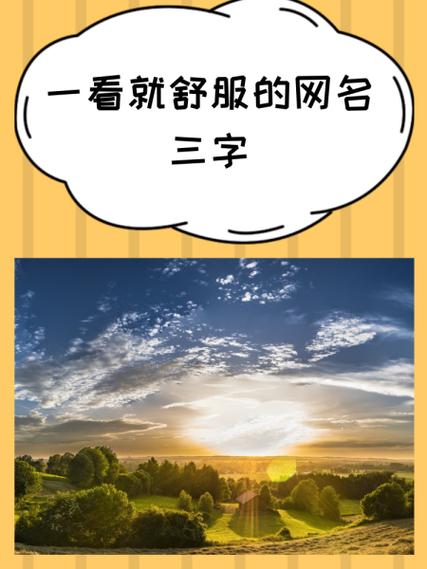 奎字内涵网名