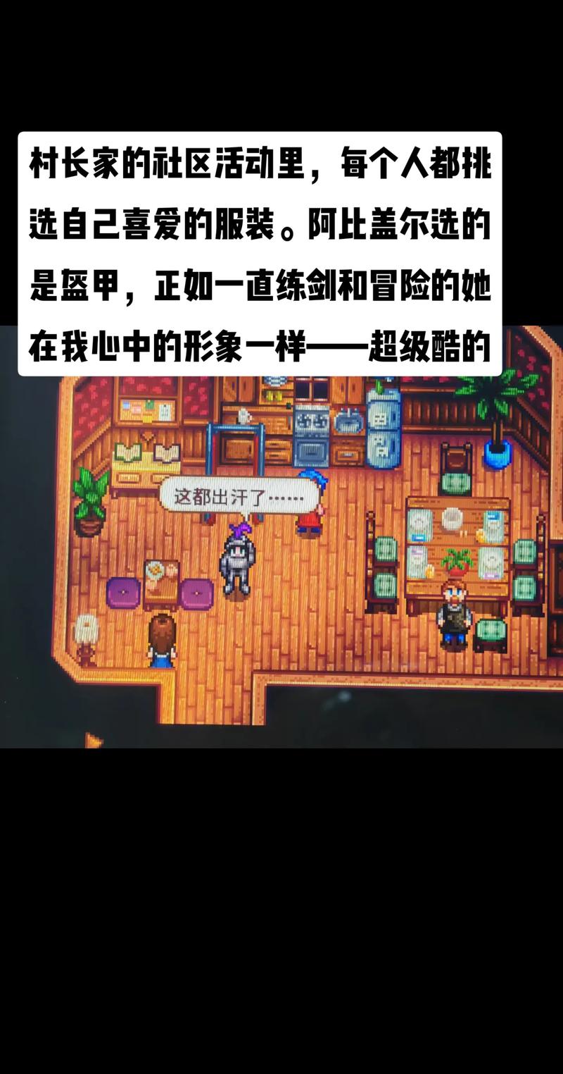 星露谷物语护甲大全