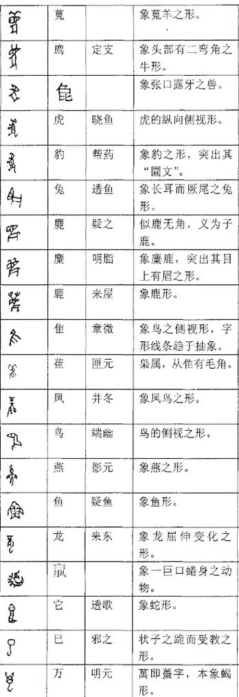甲骨文对汉字发展的意义缩略图