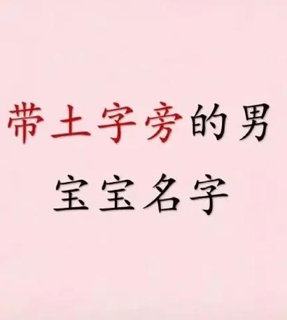 带土最旺男孩名字
