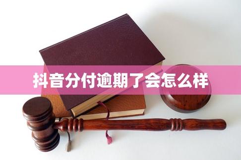 抖音分付逾期了会怎么样游戏截图