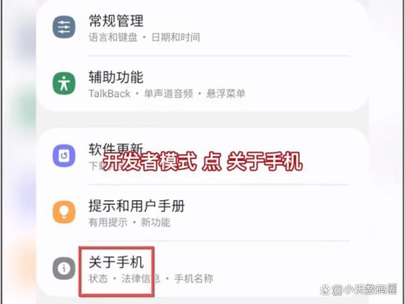 步步高BBKS5c开发者模式图标