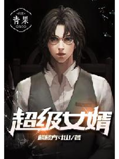 超级女婿看全书图标