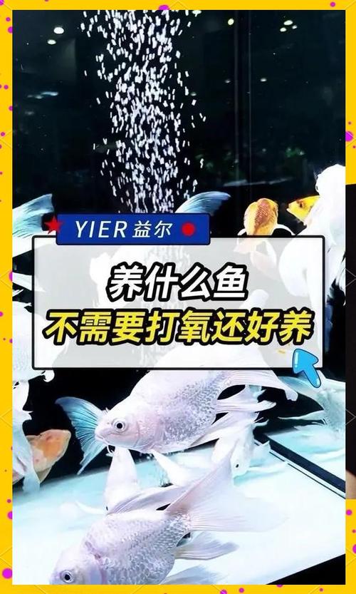 鹦鹉鱼不打氧能活多久7条缩略图