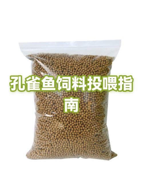 孔雀鱼幼鱼一天喂几次缩略图