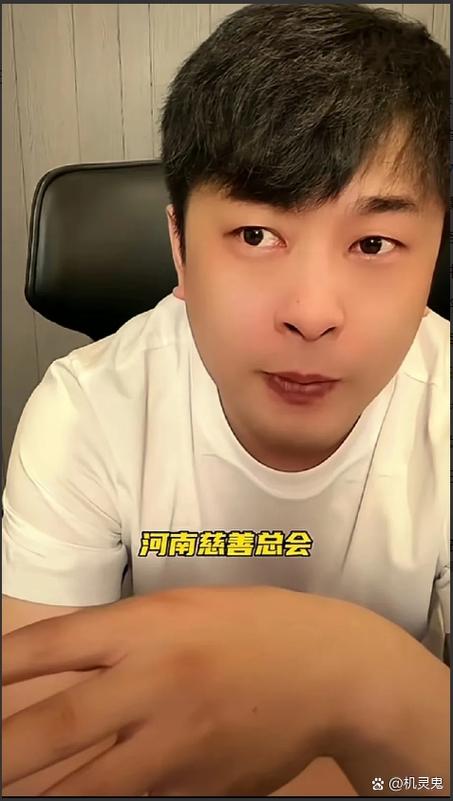 辛巴做慈善捐多少钱