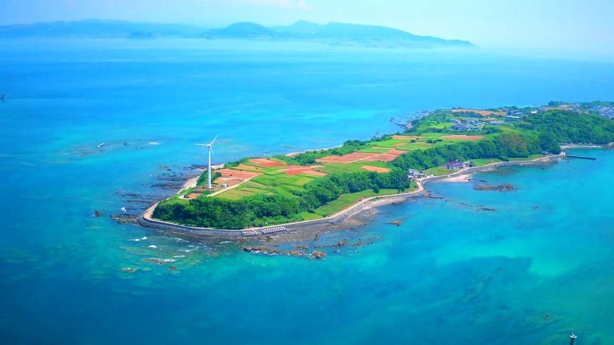 我在海岛种田发家致富缩略图