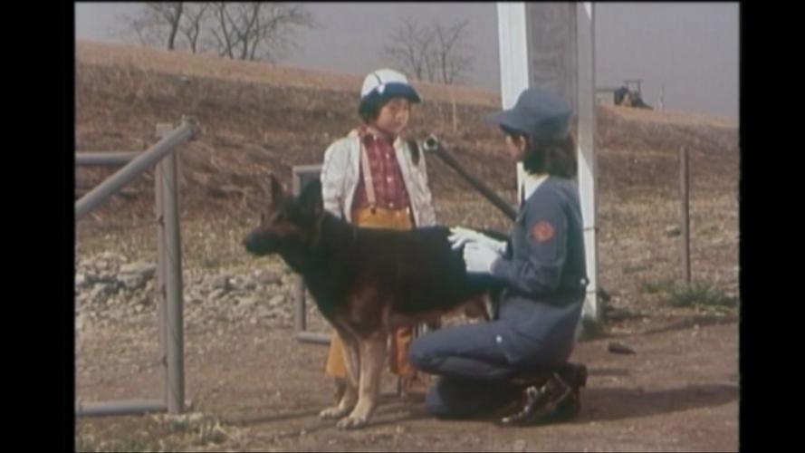 警犬卡尔中文版1到39集