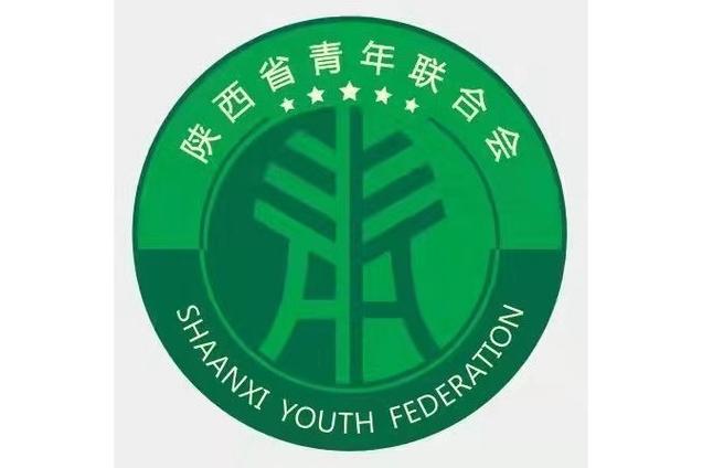 青年联合会是什么组织游戏截图