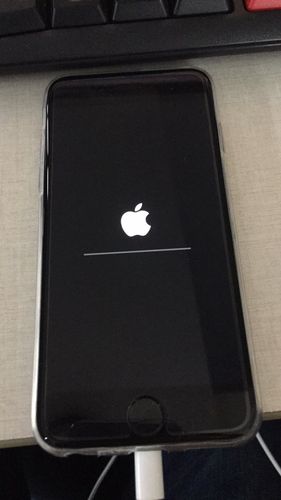 苹果6p无限重启白苹果缩略图