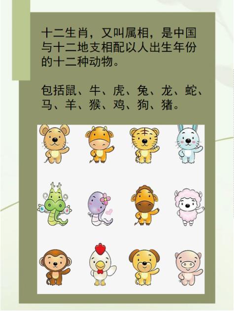 山肖最准确的生肖游戏截图