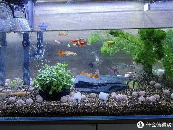 鱼缸吹水面好还是吹底部好缩略图