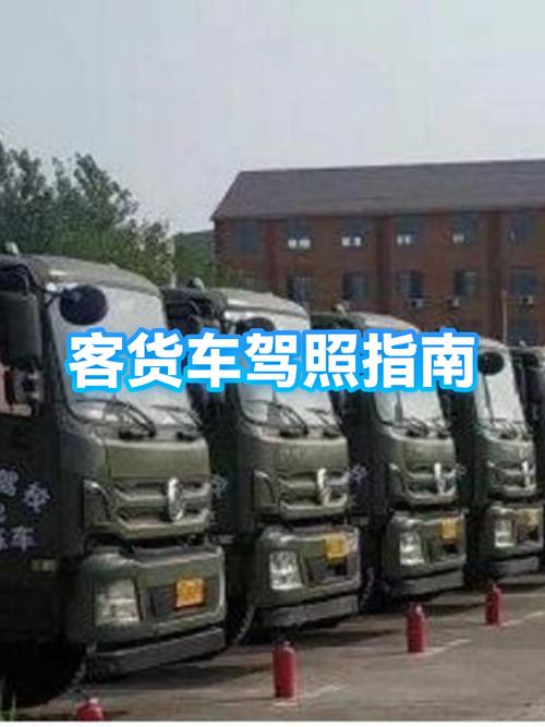 驾照锁定是不是就废了