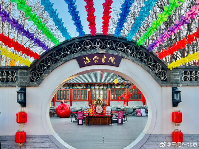 海棠书院小说阅读图标