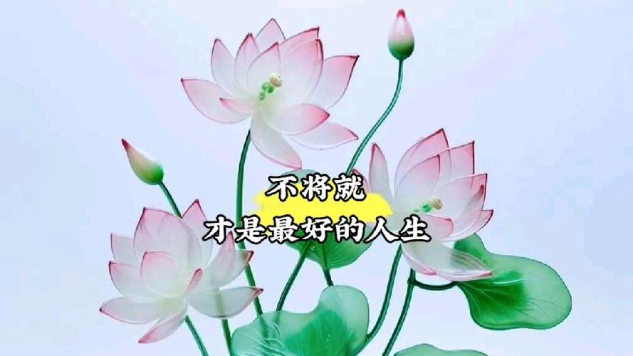 夜听人生感悟60分钟游戏截图