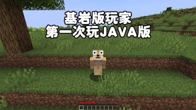 我的世界基岩版猫娘模组图标