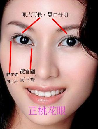 面相分析软件缩略图