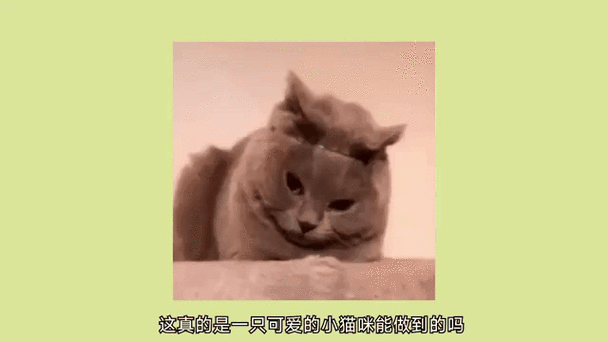 偷走美味猫堡表情包gif游戏截图