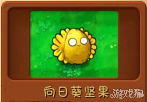 植物大战僵尸怎么重叠植物缩略图