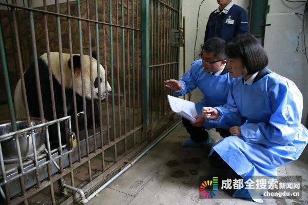 老虎钳能过安检吗