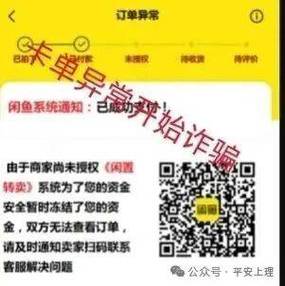 被闲鱼vip客服骗了怎么办游戏截图