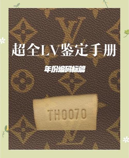 中国有lv的代工厂吗图标