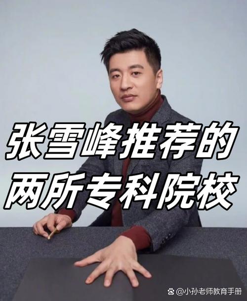 张雪峰谈区块链工程缩略图