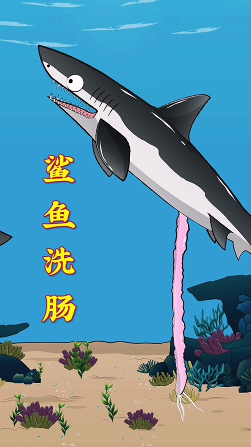 bape鲨鱼如何清洗游戏截图