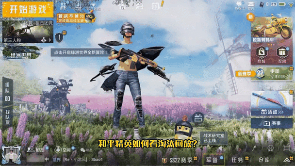 和平精英怎么设置淘汰缩略图