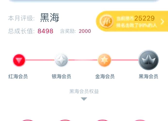 八个级别会员等级名称图标