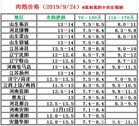 养鹅能赚多少钱图标