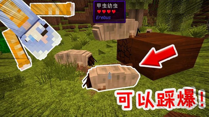 我的世界混沌之地缩略图