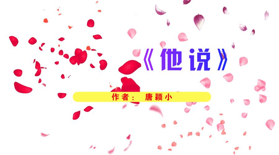 寂寞寂寞就好 小说图标
