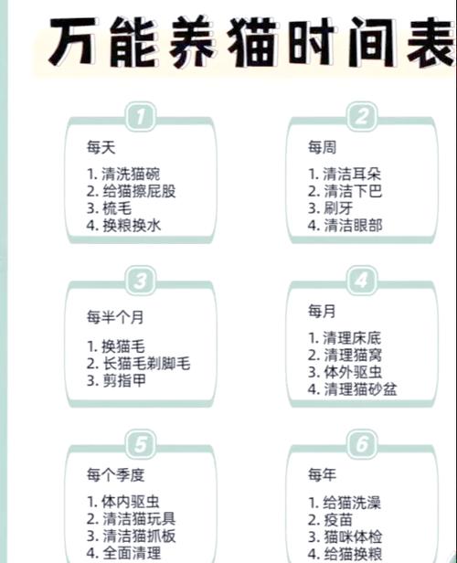 什么宠物猫最好养又听话缩略图