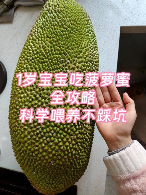 菠萝蜜的籽可以吃吗?游戏截图