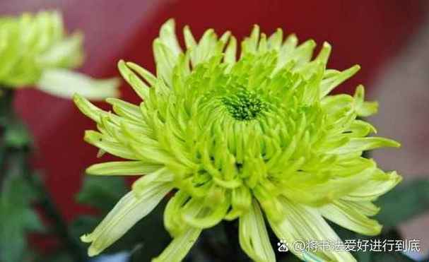 春花和秋叶的对联缩略图