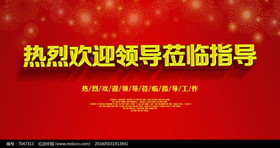 盛装临莅的意思
