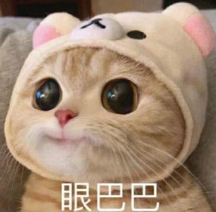 猫微信表情