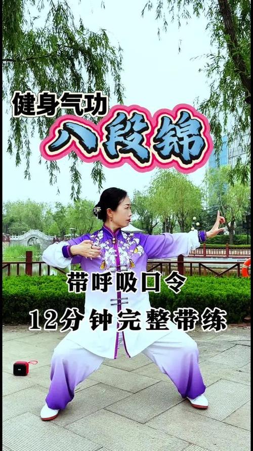 八段锦12分钟有音乐完整版图标