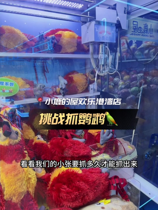 娃娃机抓到鹦鹉视频缩略图