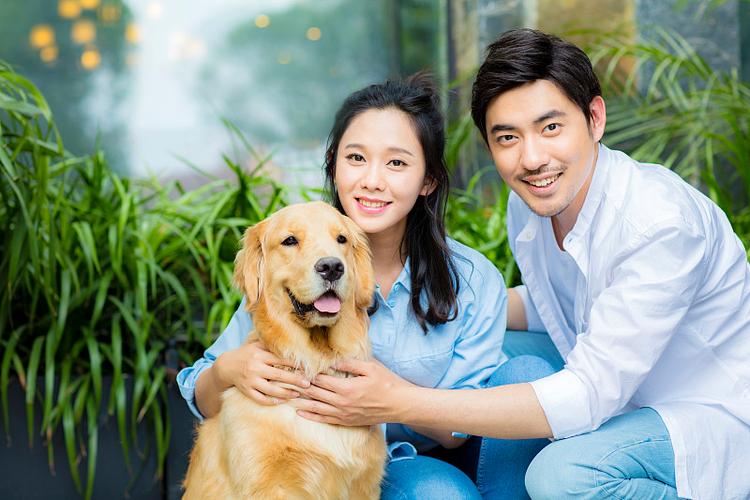 适合小学生养的宠物图标