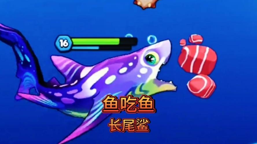 我想看鲨鱼吃鱼游戏